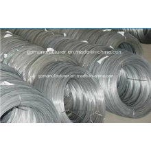 Export High Quality Steel Wire